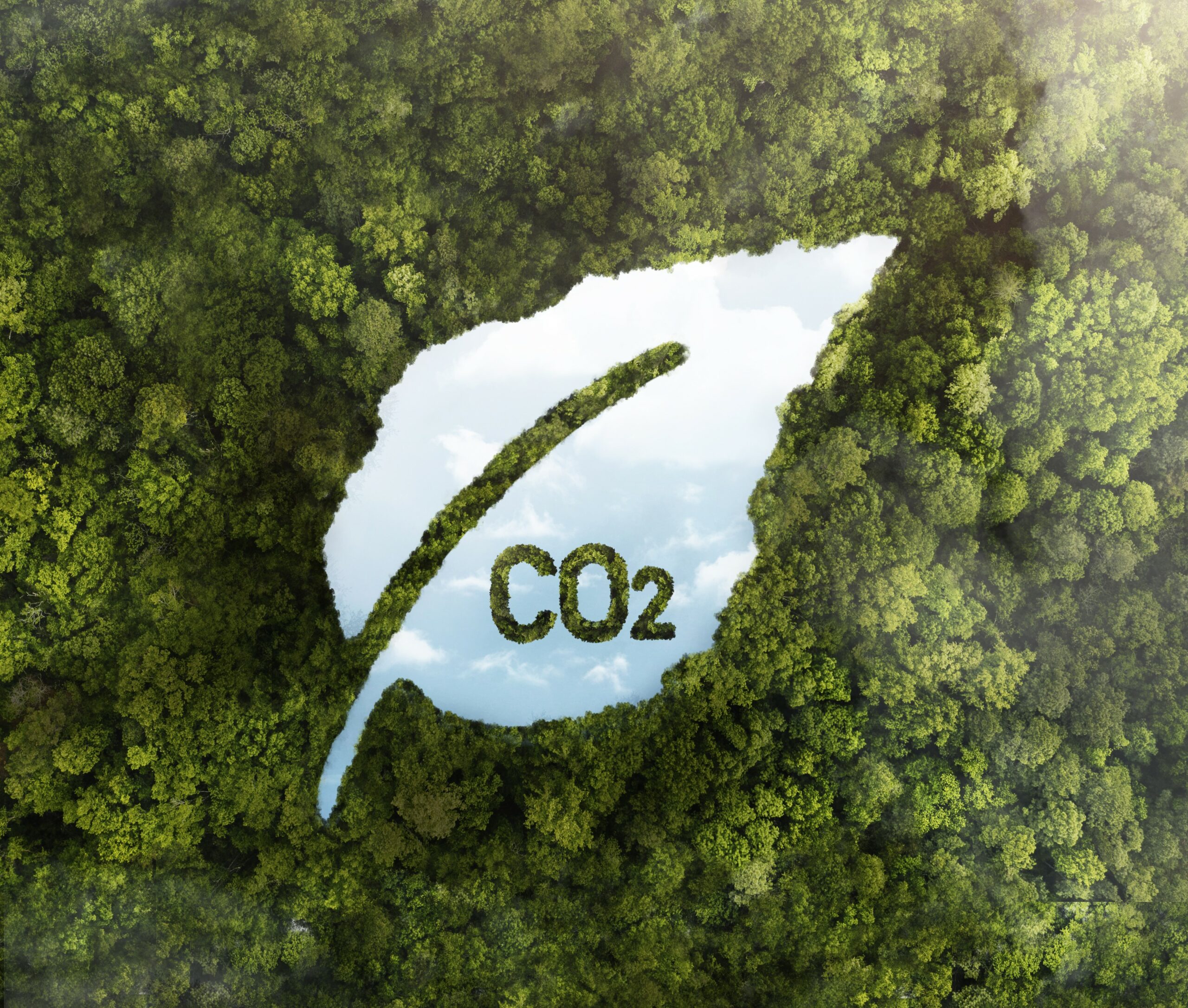 Les bases du financement climatique